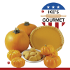 Ike's Gourmet Pumpkin Pie Dog Treat Cookies - Real Fruit Shortbread Cookies Vegan and All-Natural Grain and Gluten Free Made in USA