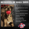 USA-K9 Stars and Stripes Ultra-Durable Rubber Chew Ball