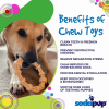 SP Honey Bone Chicken Flavored Teething Ring for Aggressive Chewers