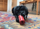 SP Retro Soda Can Durable Rubber Chew Toy and Treat Dispenser
