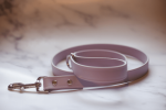 Biothane Leash