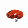Halloween Leash
