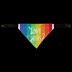 Love Wins Pet Bandana (Color: Dog Bandana)
