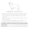 Seaside Reversible Dog Harness