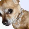 Rhinestone & Pearl Crown Necklace