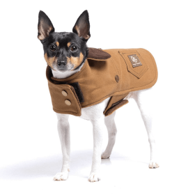 DCNY Canyon Working Coat (Color: Brown)