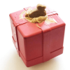 SP Gift Box Durable Rubber Chew Toy & Treat Dispenser