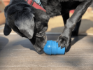 SP Ice Cream Cone Durable Rubber Chew Toy and Treat Dispenser