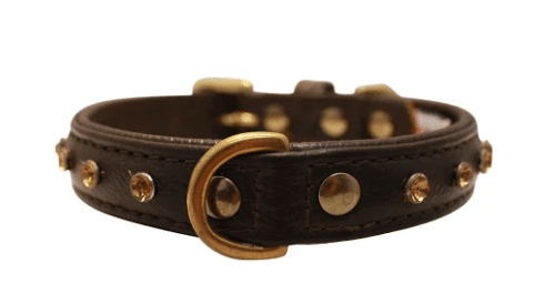 Athens Dog Collar by Angel Rhinestone Collar, 16" X 3/4", Chocolate Brown (Color: Chocolate Brown, size: Small/Medium)