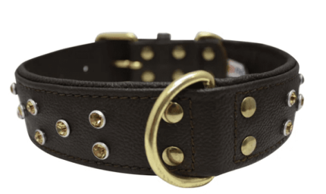 Athens Dog Collar by Angel Rhinestone Collar, 26" X 1.5", Chocolate Brown (Color: Chocolate Brown, size: Xlarge)