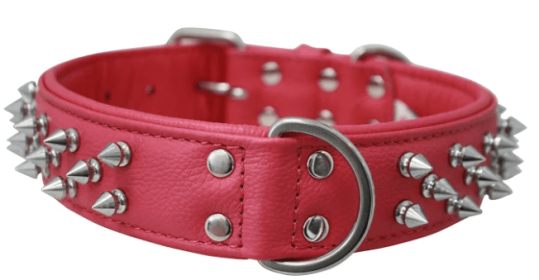 Amsterdam Dog Collar by Angel Multi Line Spiked Collar, 24" X 1.5" , Hot Pink (Color: Hot Pink, size: Xlarge)