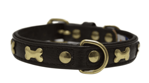 Rotterdam Bones Dog Collar by Angel 18" X 3/4" , Chocolate Brown (Color: Chocolate Brown, size: medium)